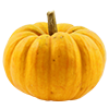 Pumpkin Pickin 